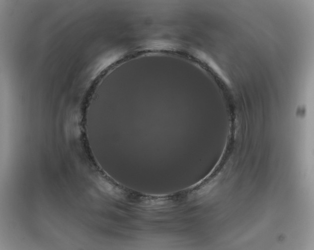 X0000097001213200802081436