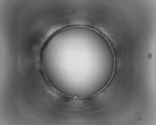 X0000097001215200802081436