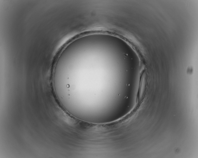 X0000097001216200802081436