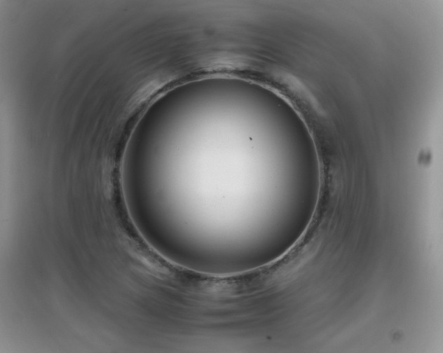 X0000097001217200802081436