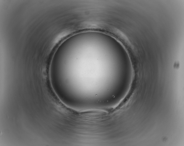 X0000097001218200802081436