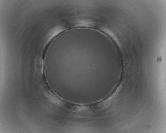 X0000097001219200802081436
