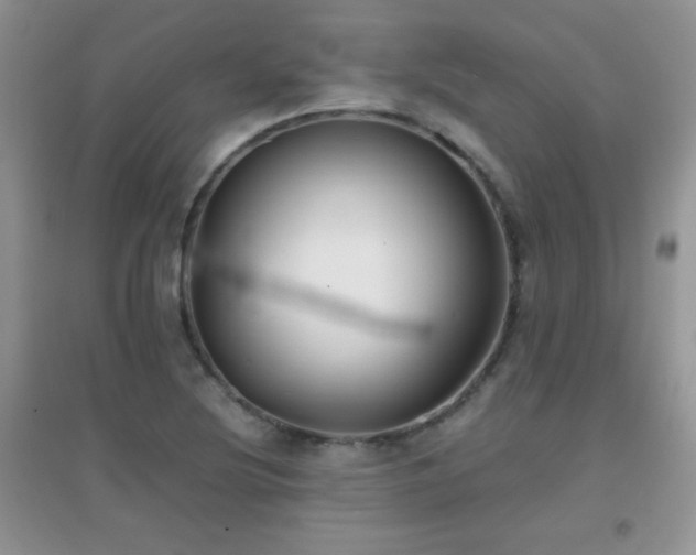 X0000097001220200802081436