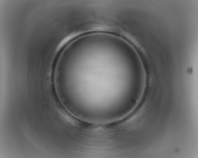 X0000097001222200802081436