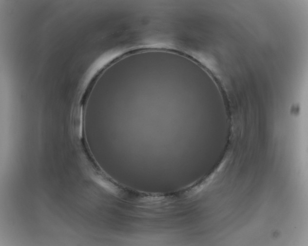 X0000097001223200802081436