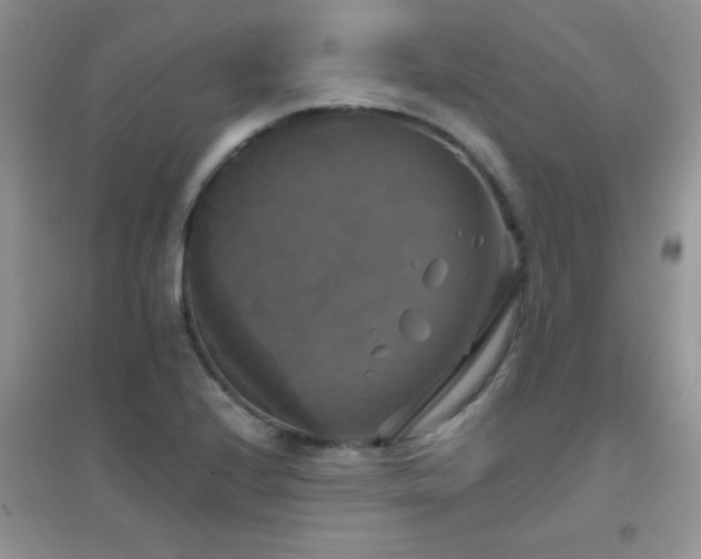 X0000097001224200802081436