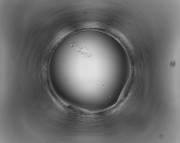 X0000097001225200802081436