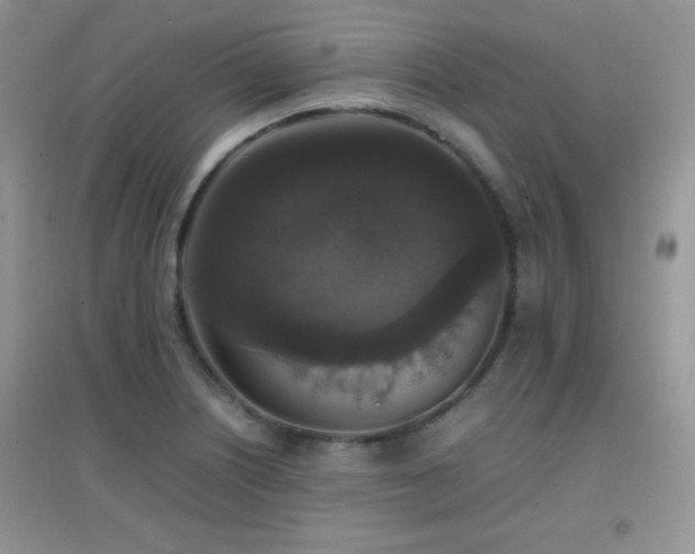 X0000097001226200802081436