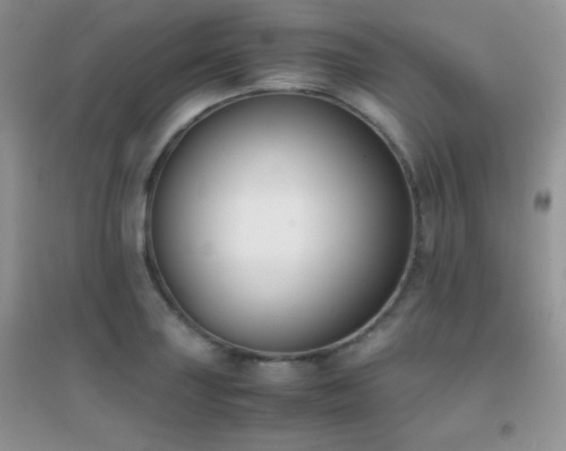 X0000097001227200802081436