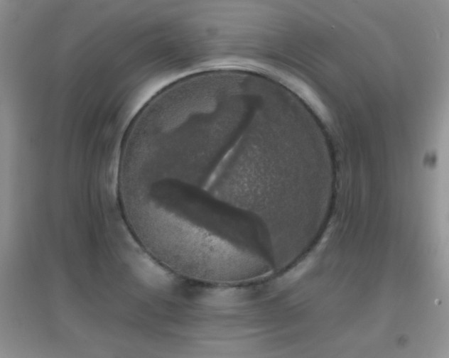 X0000097001228200802081436