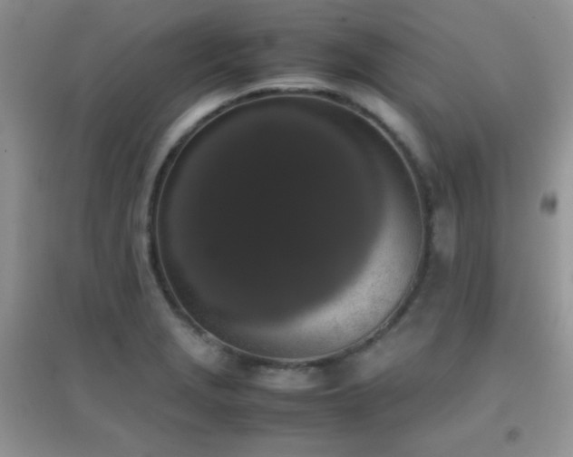 X0000097001229200802081437