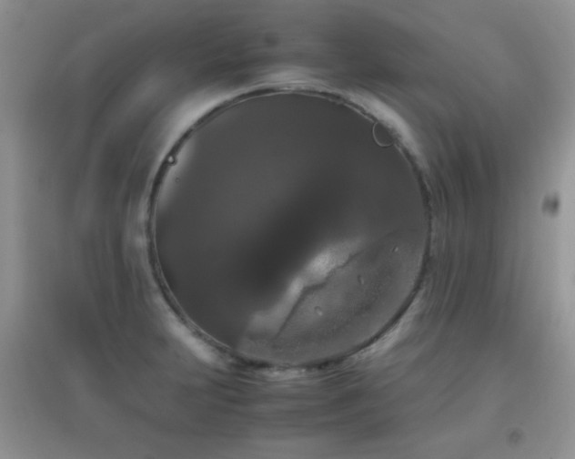 X0000097001231200802081437