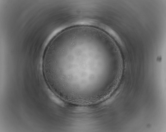 X0000097001232200802081437