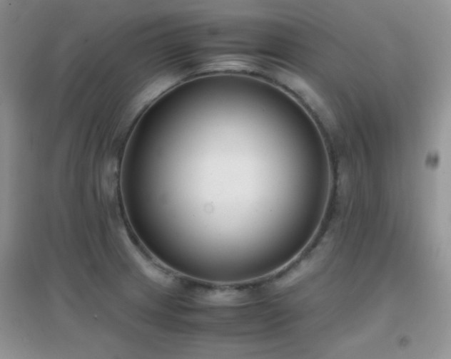X0000097001233200802081437