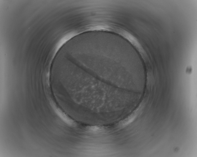X0000097001234200802081437