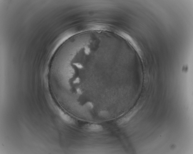 X0000097001235200802081437