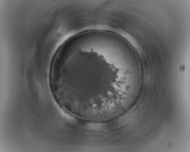 X0000097001237200802081437