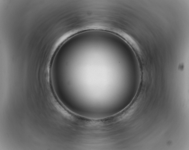 X0000097001238200802081437
