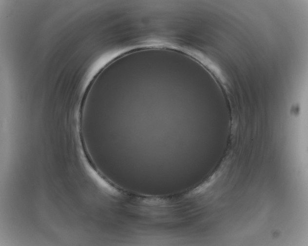 X0000097001239200802081437