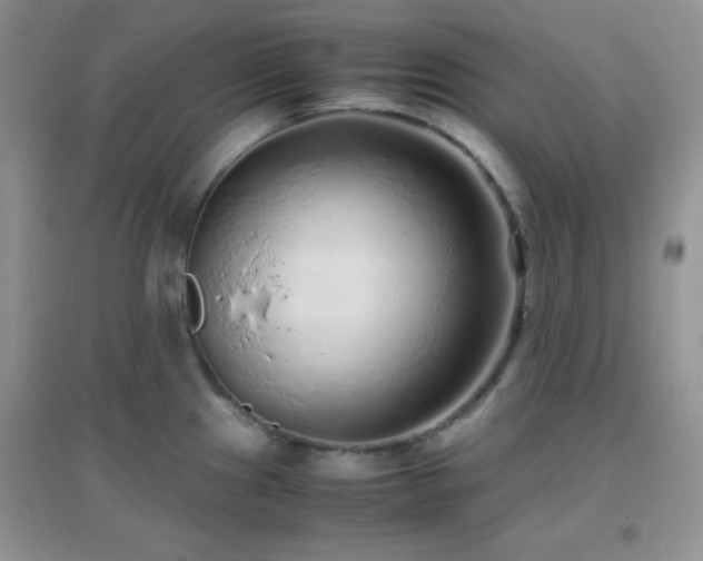 X0000097001241200802081437