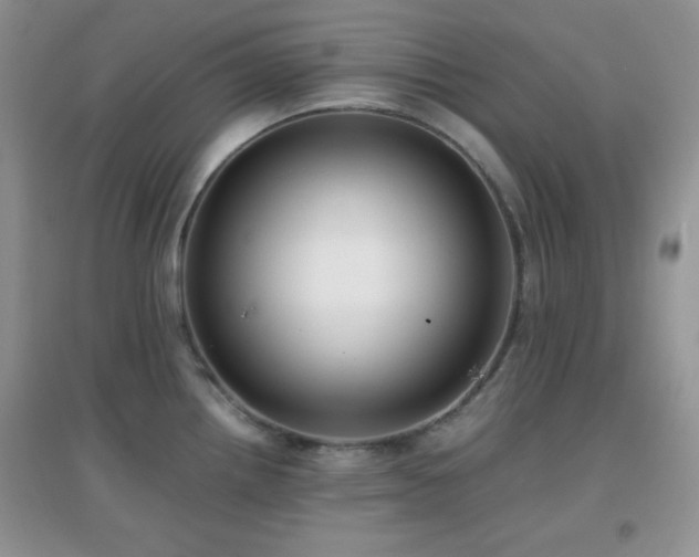 X0000097001242200802081437