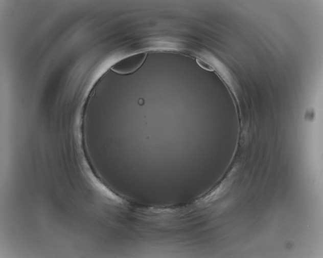 X0000097001243200802081437