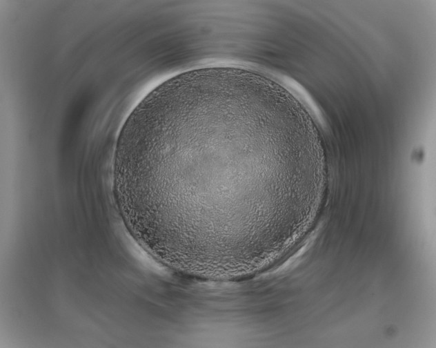 X0000097001244200802081437