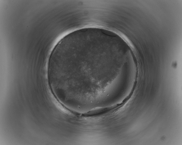 X0000097001246200802081437