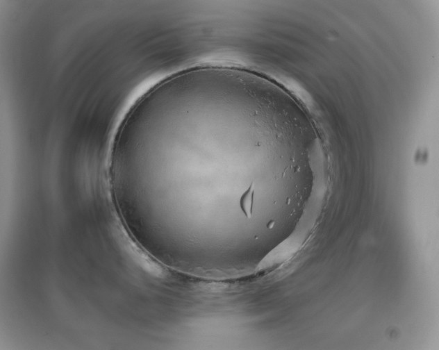 X0000097001248200802081437