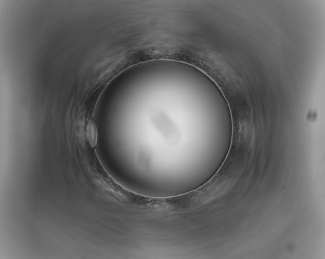 X0000097001250200802081436