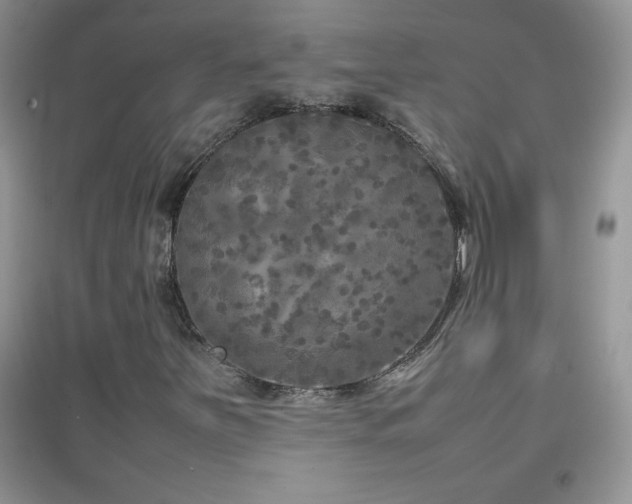 X0000097001251200802081436