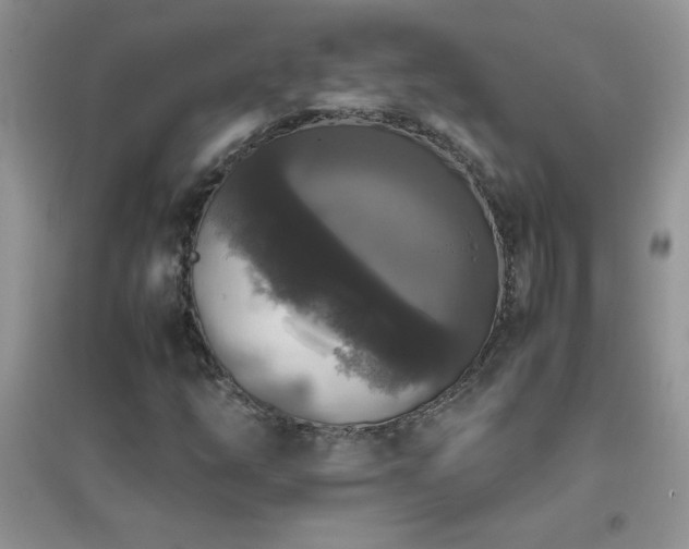 X0000097001254200802081436