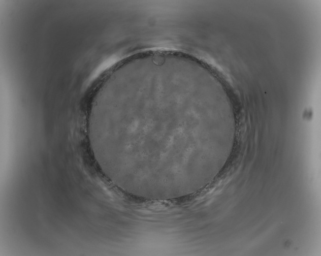 X0000097001255200802081436