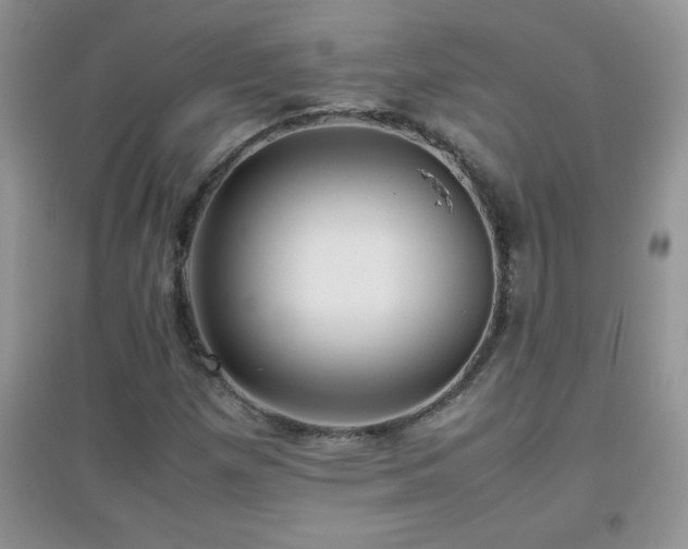 X0000097001257200802081436