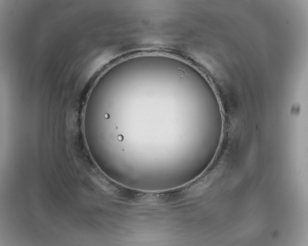 X0000097001259200802081436