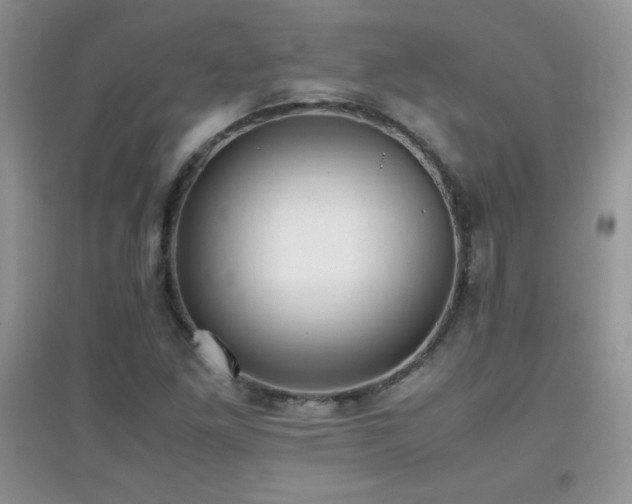 X0000097001261200802081436