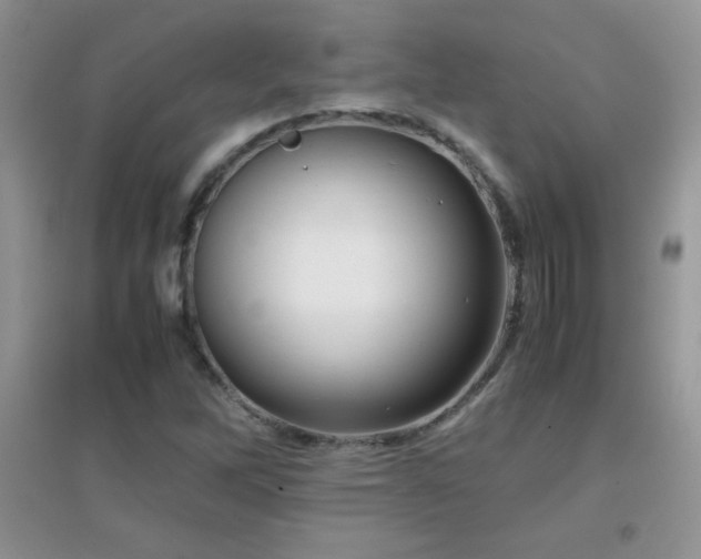 X0000097001262200802081436