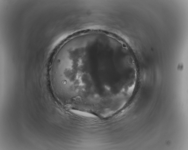 X0000097001263200802081436