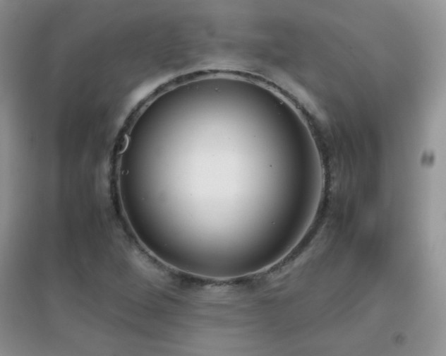 X0000097001264200802081436
