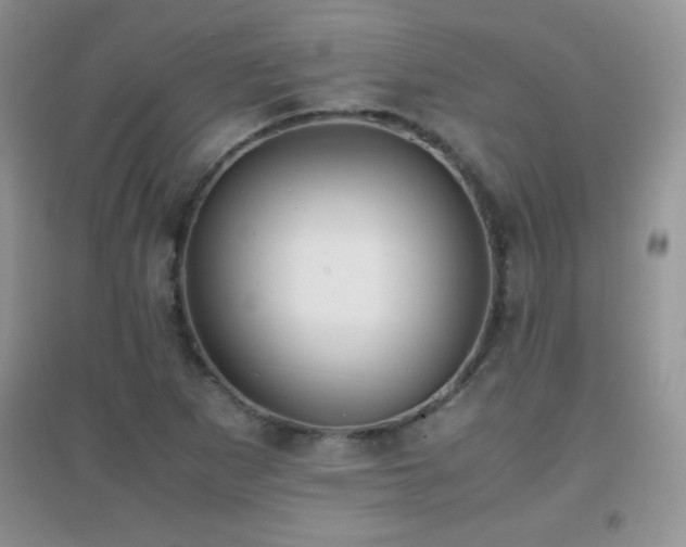 X0000097001265200802081436