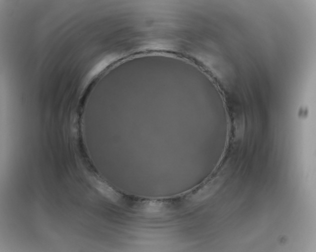 X0000097001266200802081436