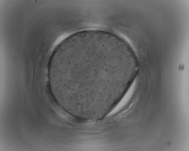 X0000097001267200802081436