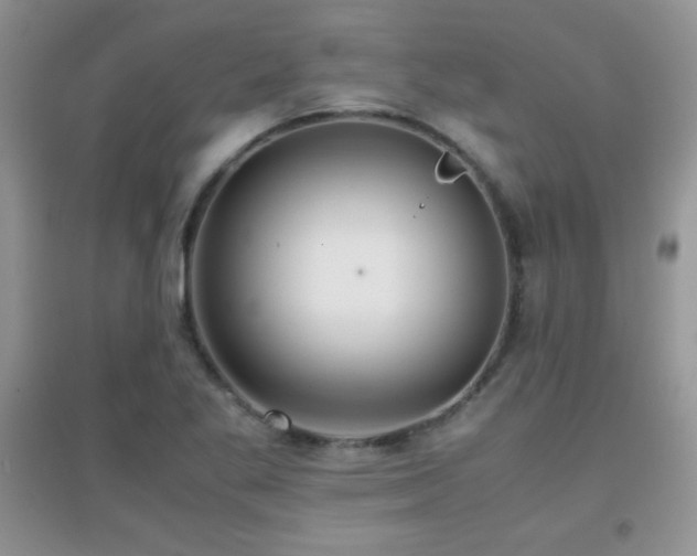 X0000097001269200802081436
