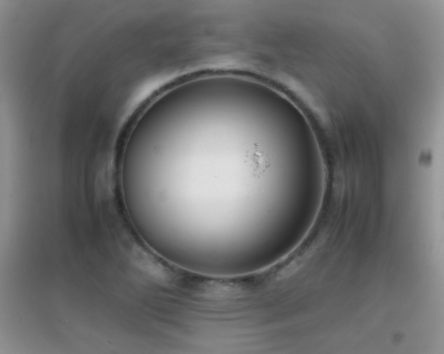 X0000097001270200802081436