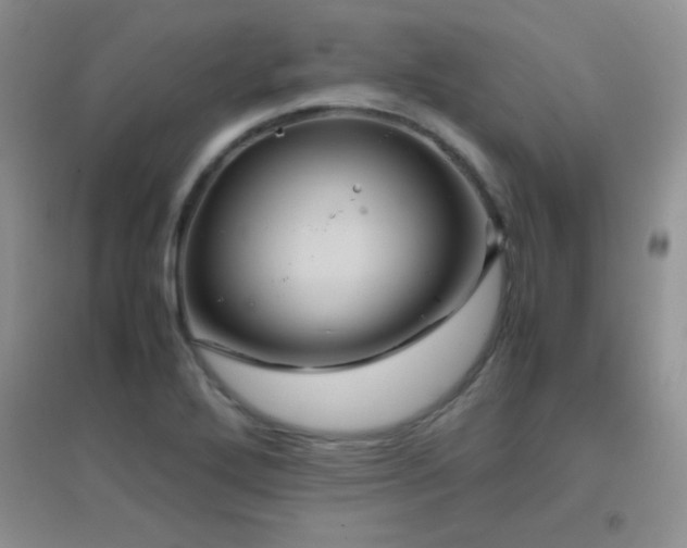 X0000097001272200802081436
