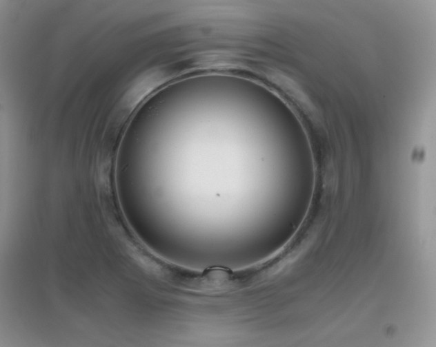 X0000097001273200802081436
