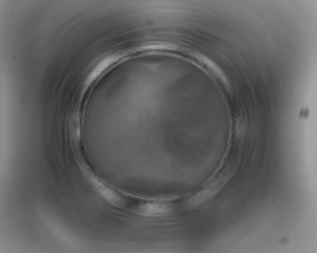 X0000097001274200802081436