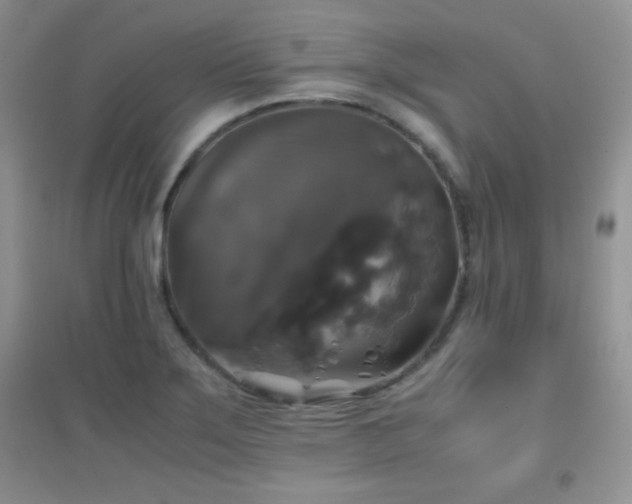 X0000097001275200802081436