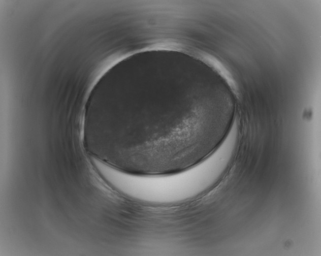 X0000097001276200802081436