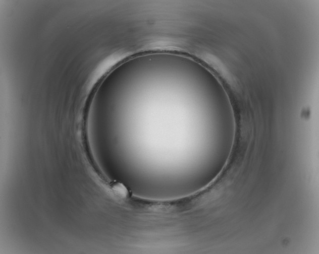 X0000097001277200802081436